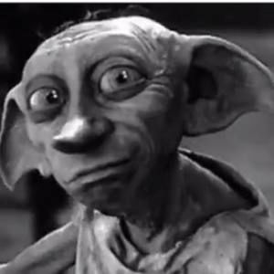 Meet your Posher, Kip